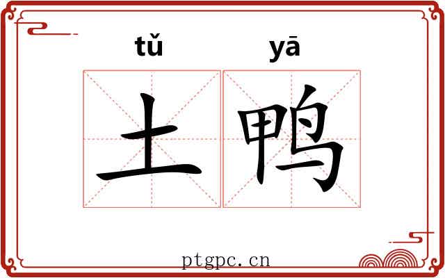 土鸭