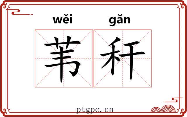 苇秆