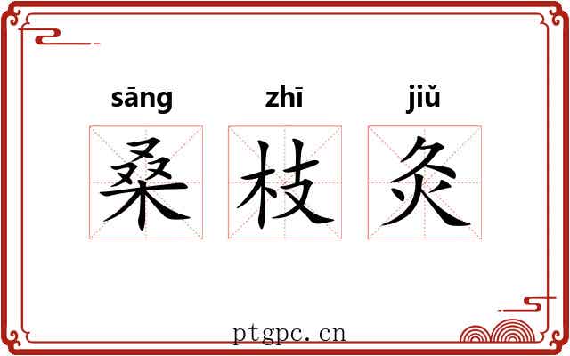 桑枝灸 桑枝灸