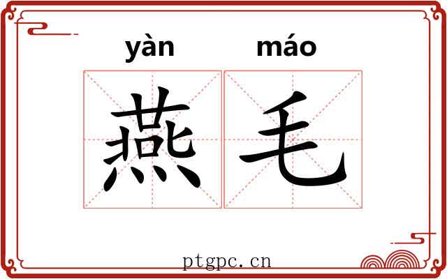 燕毛 燕毛
