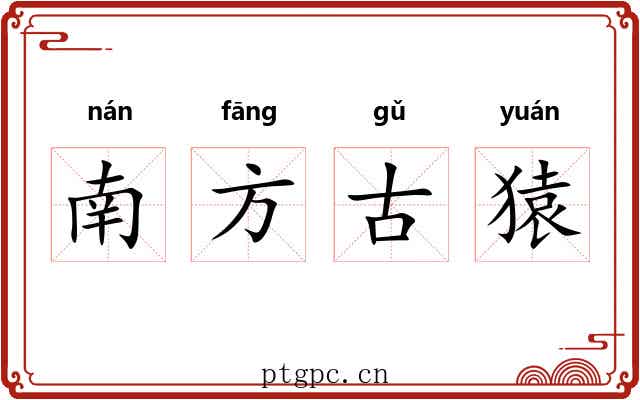 南方古猿 南方古猿