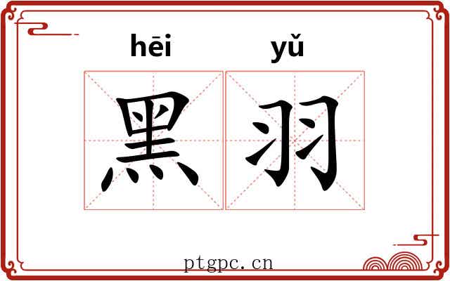 黑羽