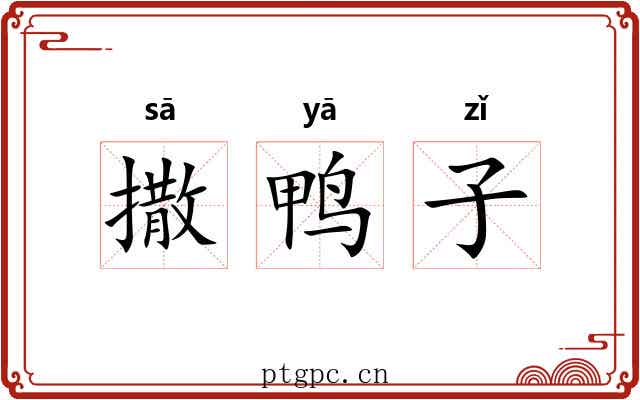 撒鸭子 撒鸭子