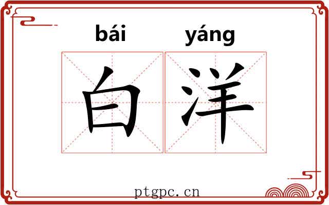 白洋