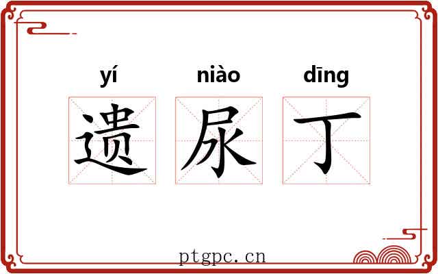 遗尿丁