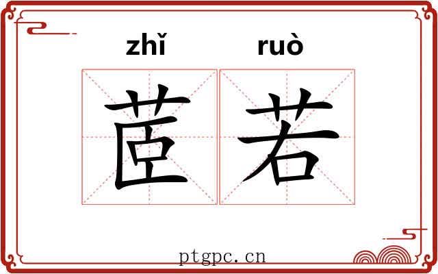 茝若 茝若