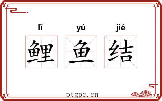 鲤鱼结 鲤鱼结