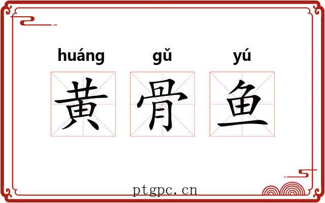 黄骨鱼 黄骨鱼