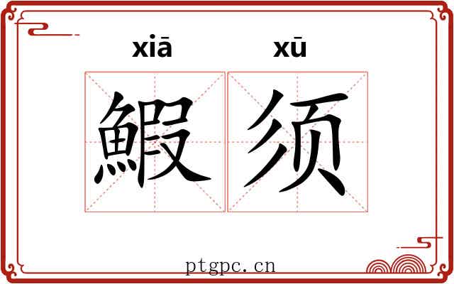 鰕须