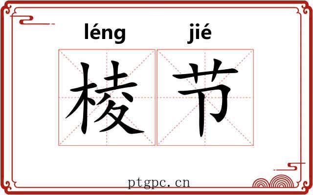 棱节 棱节