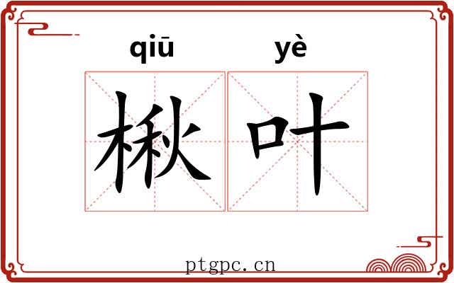 楸叶