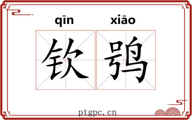 钦鸮