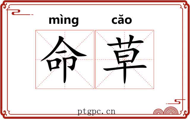 命草 命草