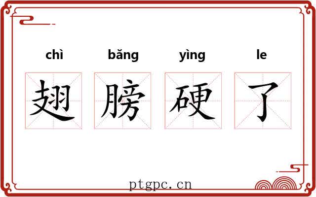 翅膀硬了 翅膀硬了