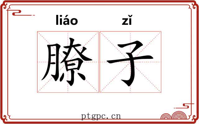 膫子 膫子