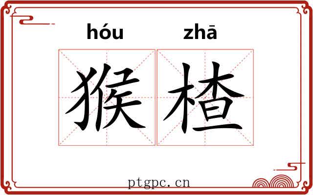 猴楂
