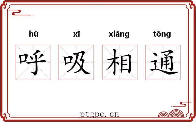 呼吸相通 呼吸相通