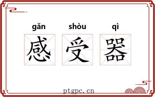 感受器 感受器