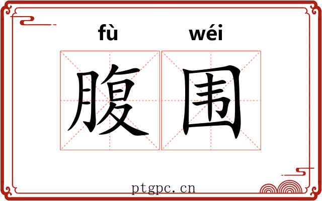 腹围 腹围