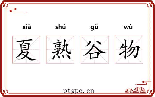 夏熟谷物