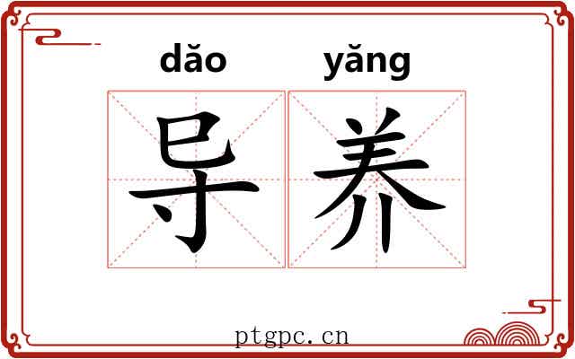 导养