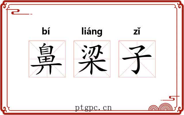鼻梁子