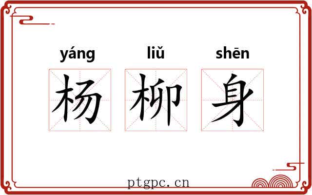 杨柳身 杨柳身