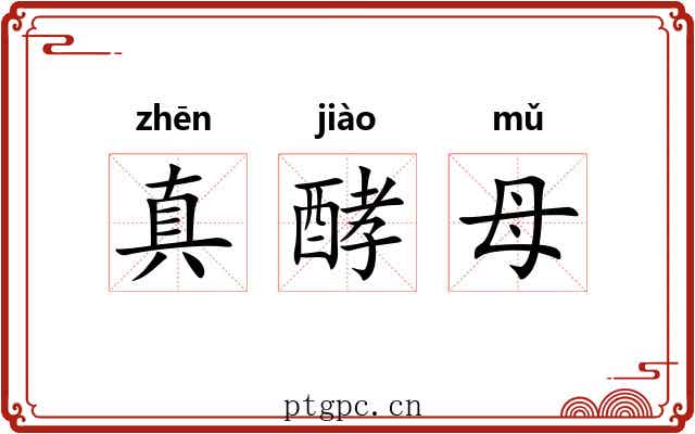 真酵母 真酵母