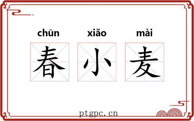 春小麦 春小麦