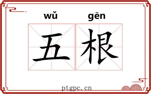五根