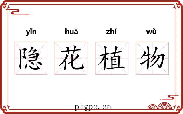 隐花植物 隐花植物