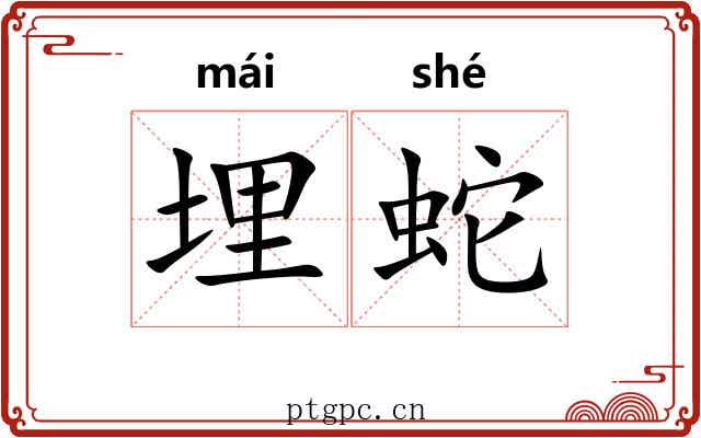 埋蛇 埋蛇
