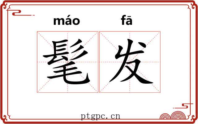 髦发 髦发