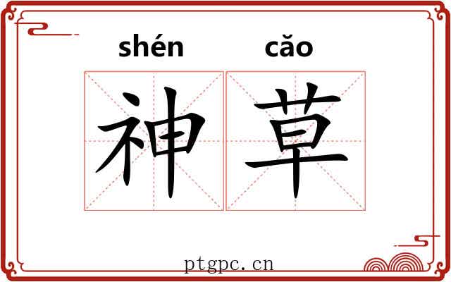 神草 神草