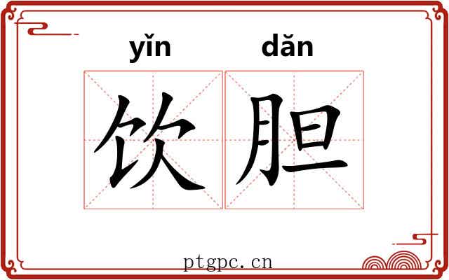 饮胆