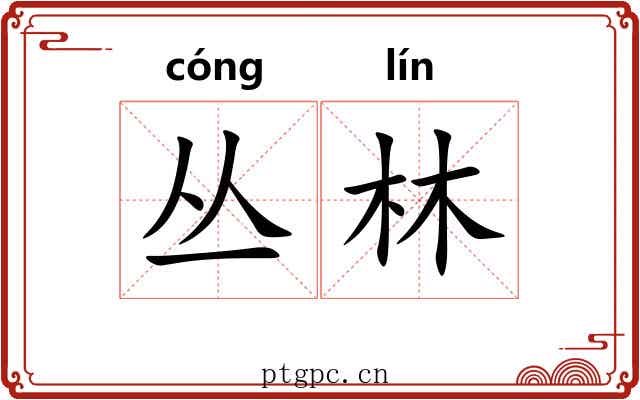 丛林