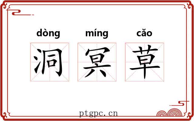 洞冥草 洞冥草