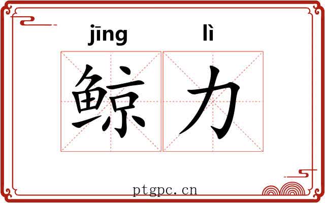 鲸力