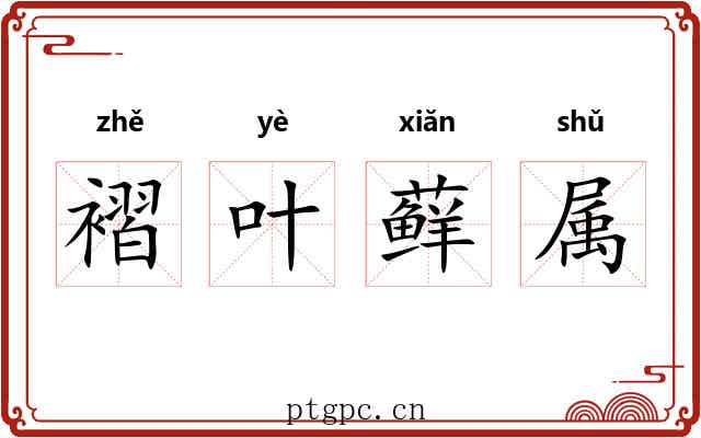 褶叶藓属 褶叶藓属