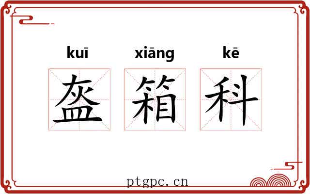 盔箱科 盔箱科
