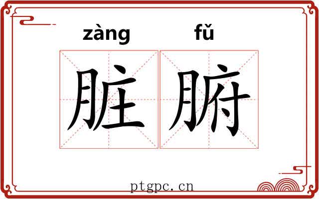 脏腑 脏腑