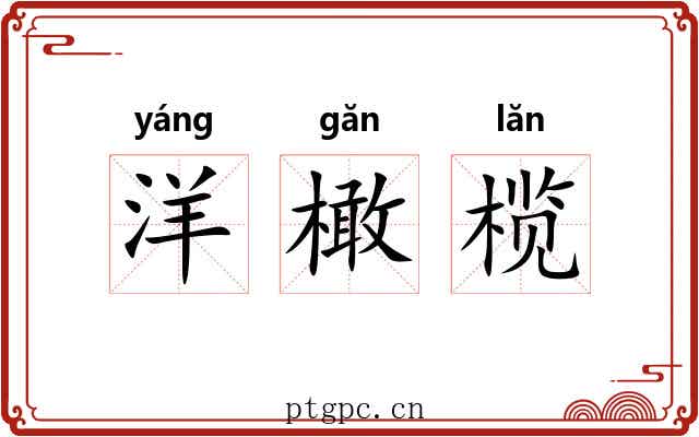 洋橄榄