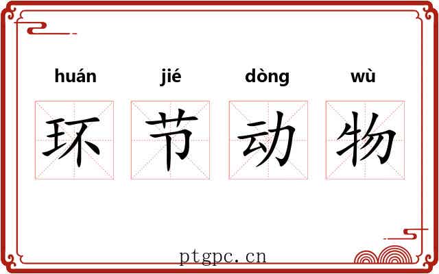 环节动物 环节动物