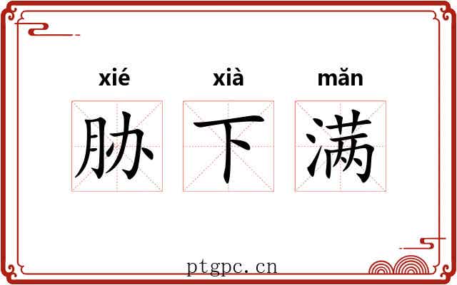 胁下满 胁下满