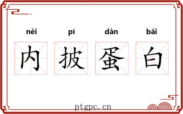 内披蛋白 内披蛋白