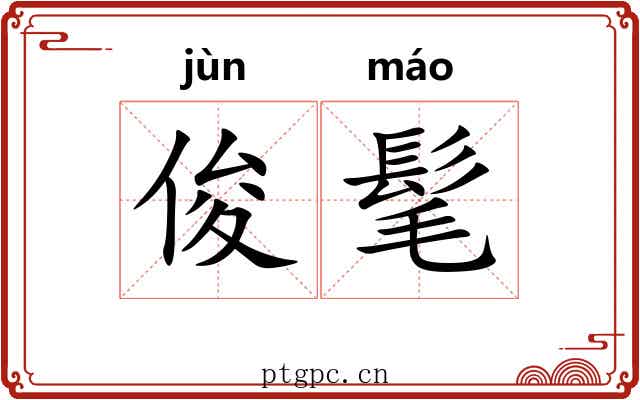 俊髦