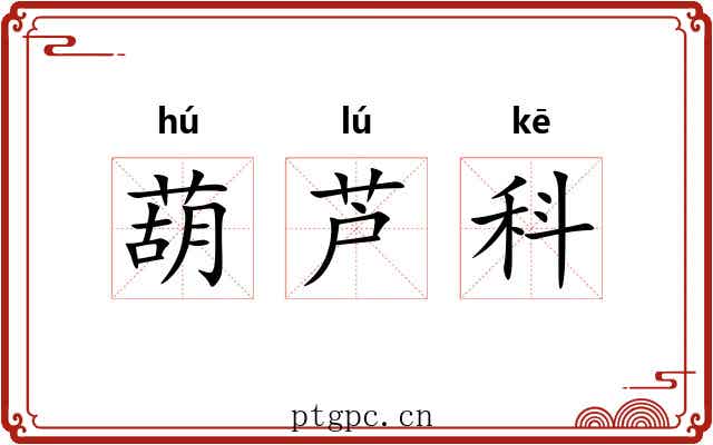 葫芦科 葫芦科