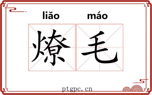 燎毛 燎毛