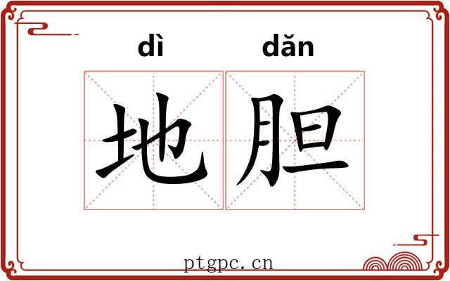 地胆 地胆