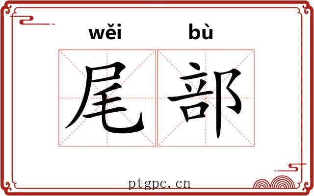 尾部 尾部